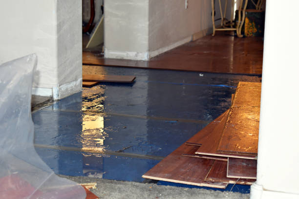 Professional Basement Flood Cleanup technician working in Glen Oaks, NY